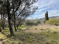Image du bien UBI481277288